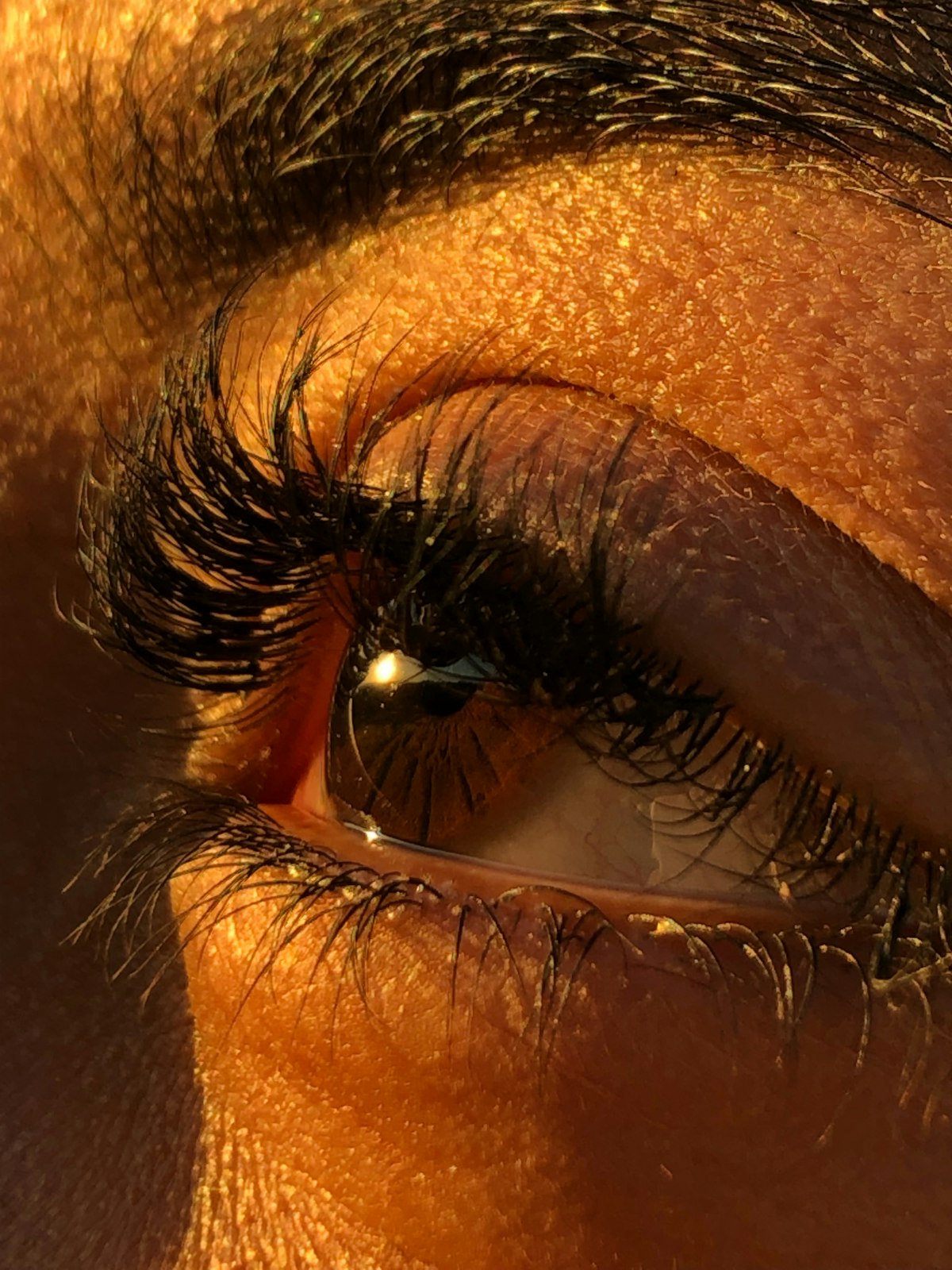 Lashes & Brows